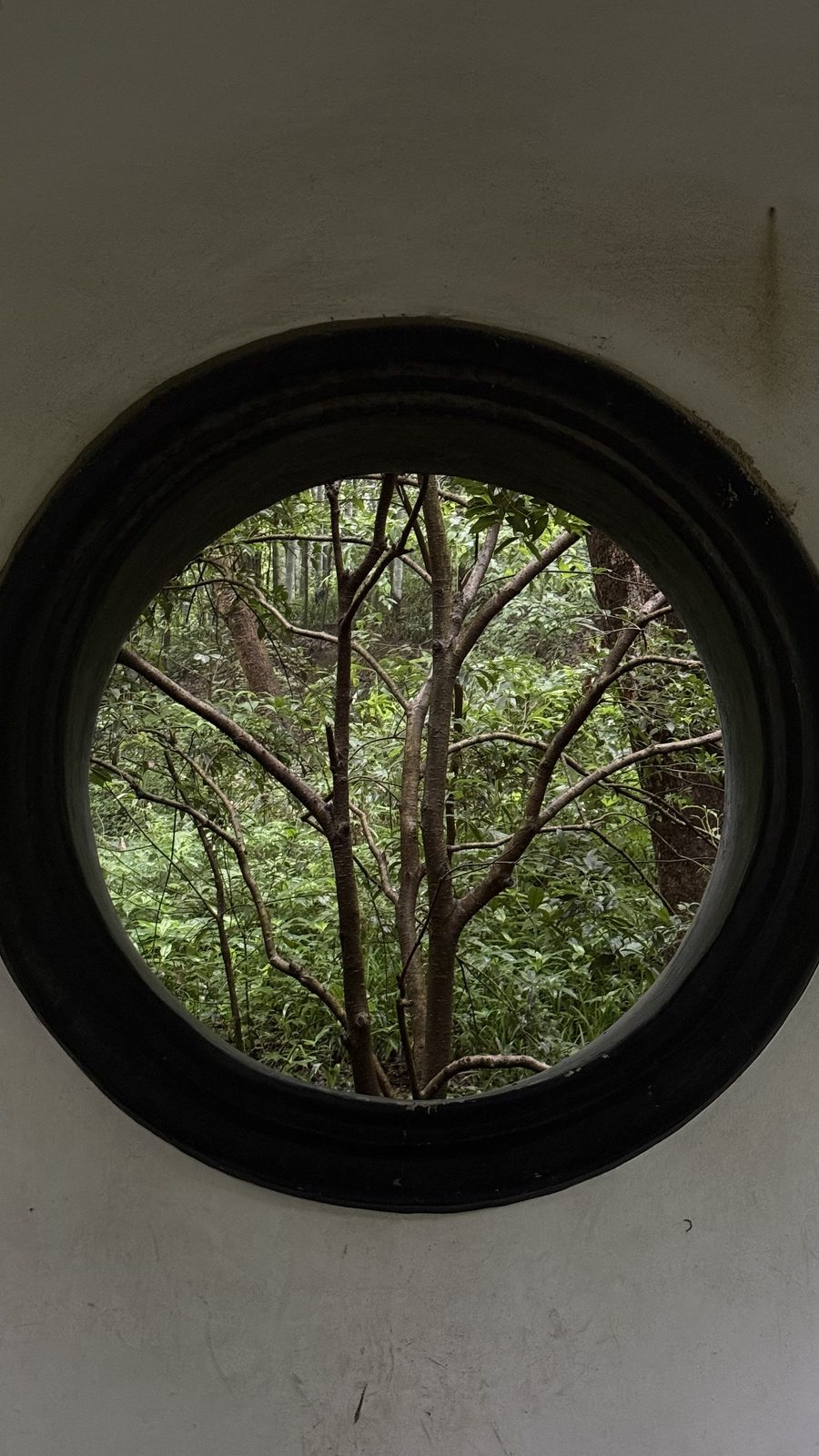 A round moon window framing trees in Hangzhou