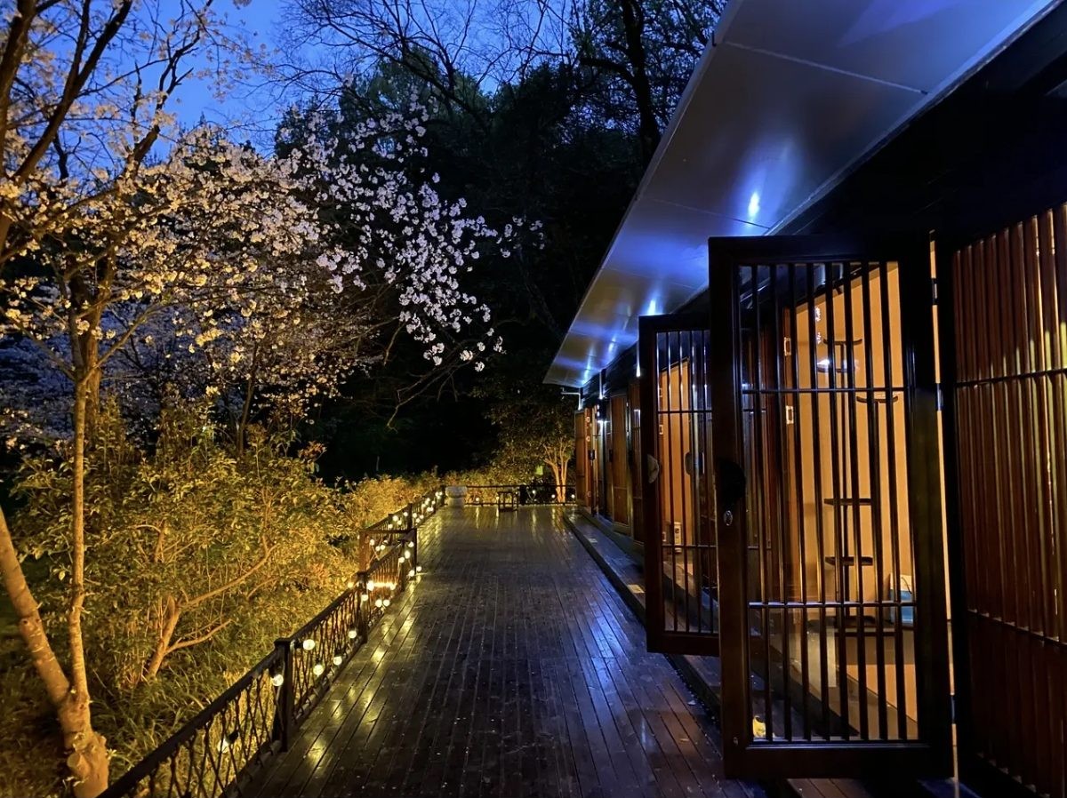 A lantern-lit timber walkway lined with blossoming trees at night